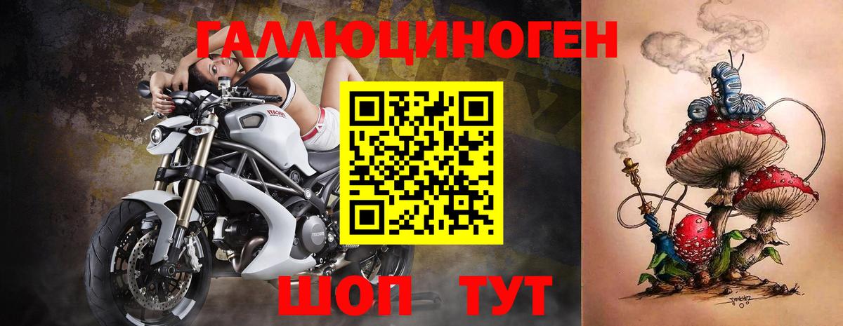 Галлюциногенные грибы Psilocybe Красноармейск