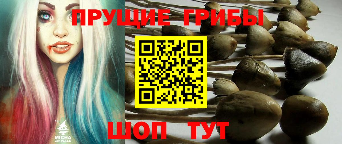 Псилоцибиновые грибы Cubensis  Вход с VPN  Псилоцибиновые грибы Magic Shrooms  Красноармейск 